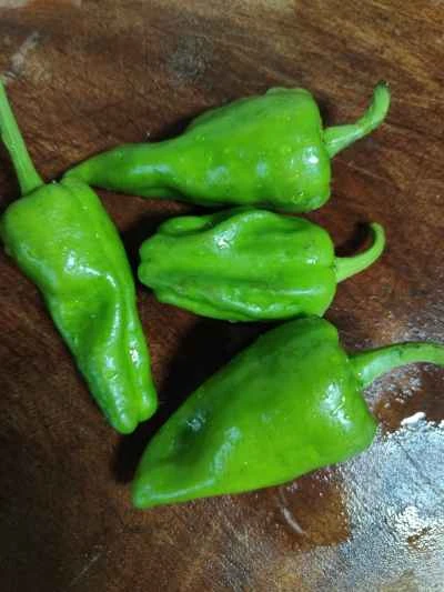 牛肉とキュウリの炒め物の作り方：6