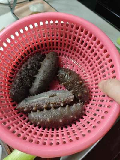 ネギ入りナマコの煮込みの作り方：1