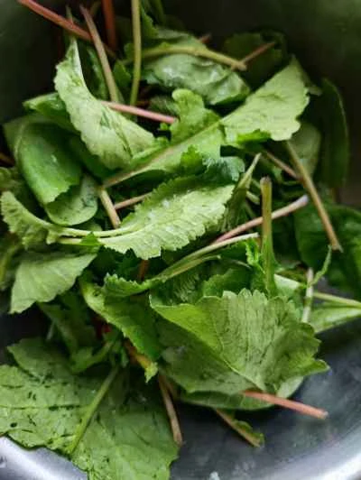 中華ソーセージとキャベツの炒め物の作り方：4