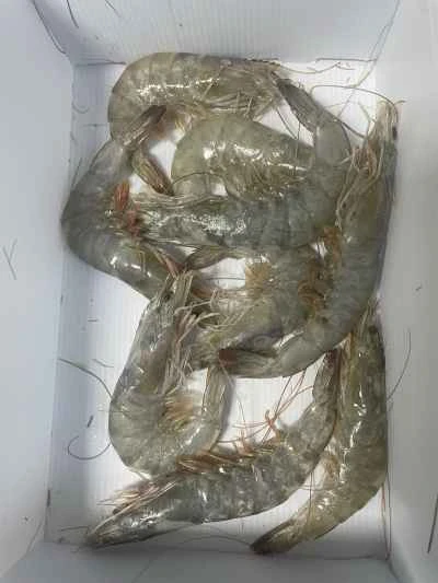 クリスピーシュリンプカツレツのレシピ手順：1