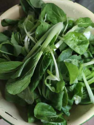 ニンニク風味のチンゲン菜の作り方：1