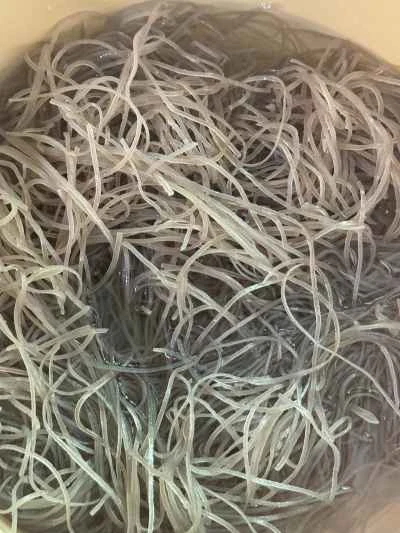 牛肉と春雨の鍋の作り方：1