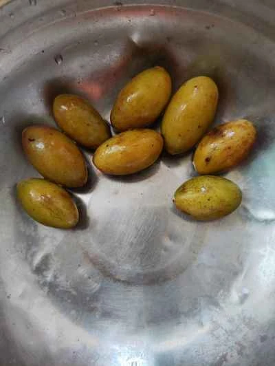 グリーンオリーブ入り豚すね肉の煮込みの作り方:1