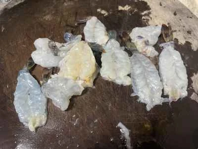 スパイシーエビの作り方：4