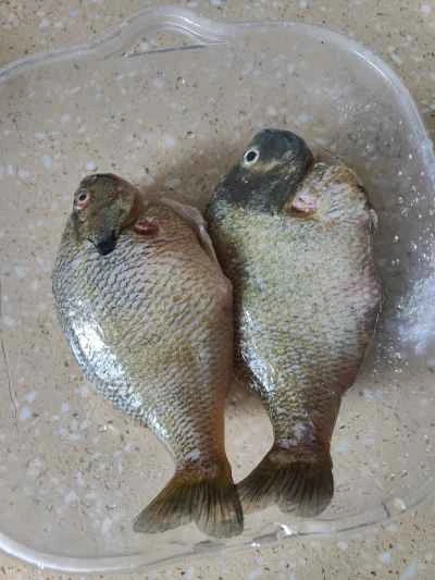 マンボウの煮込みレシピ手順：1