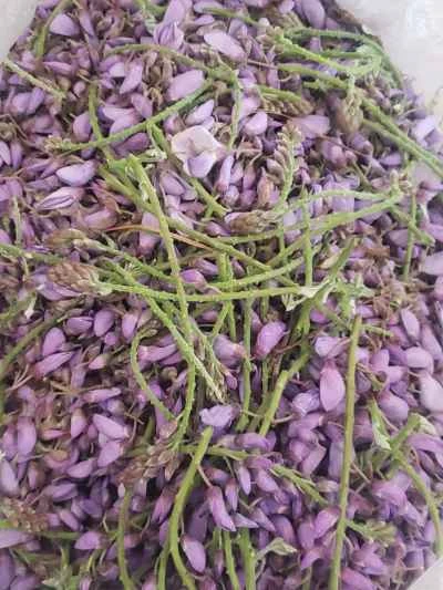 春の味を舌先で味わう - 蒸し藤の花のレシピ手順：1