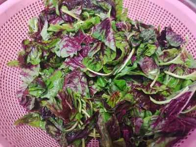 赤アマランサスの炒め方：1