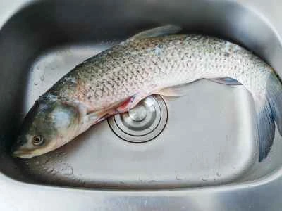 煮魚の切り身の作り方：2