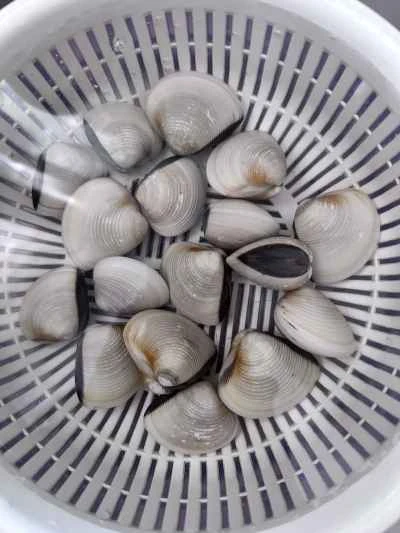 タロイモとカタツムリのシチューの作り方：2