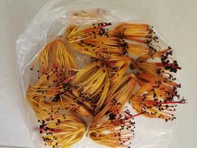 カポックの花と​​豚肉の煮込み炒めの作り方：1