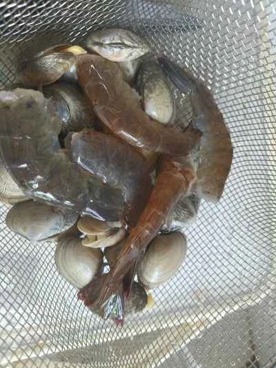 ガーリック春雨とエビとアサリのキャセロールの作り方：3