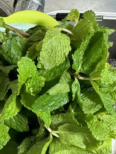 たけのこの炒め方の手順:2