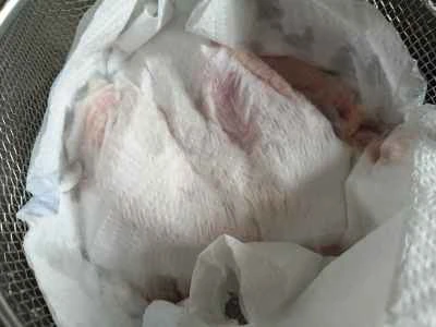 クリスピーチキンウィングのレシピ手順：2