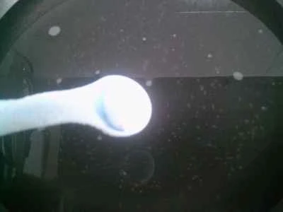 夜咲きセレウスとブロッコリーの炒め物の作り方：4