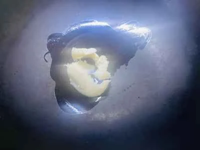 トマト入りスクランブルエッグの作り方：6