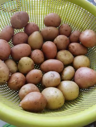 クリスピーポテトの作り方：3