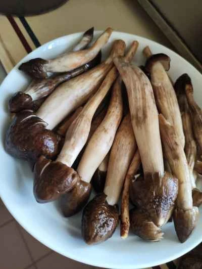 ライチ茸入り蒸し塩鶏の作り方：4