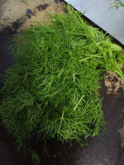 フェンネルとスクランブルエッグの作り方：2