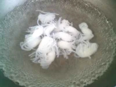 こんにゃくの結び目と豚肉の赤身と漬物の炒め物の作り方：4