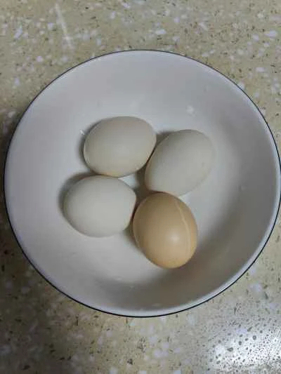 ヨモギと鳩のシチューの作り方：4