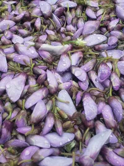 舌先に春の味覚：蒸し藤の花 - レシピ手順：3