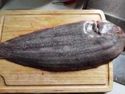 ヒラメの煮込みの作り方：1