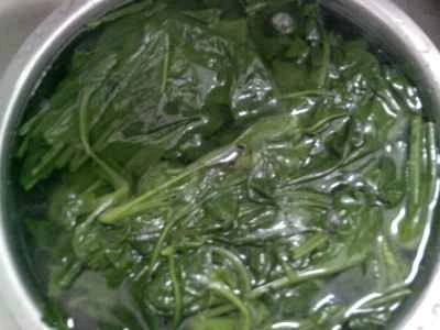 ほうれん草と白豆腐の発酵料理の作り方：10