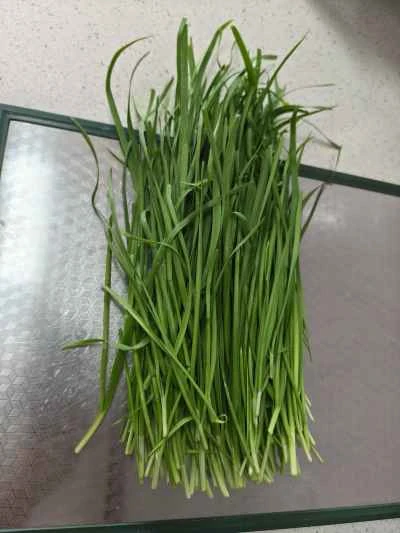 チャイブと春雨のサラダの作り方：3