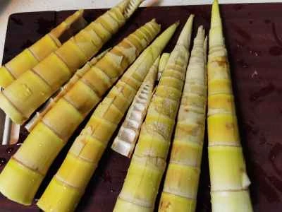 ヤン・ドゥ・シアンの作り方: 3