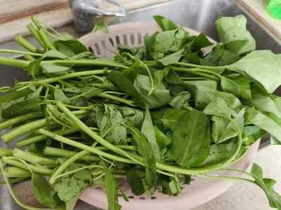 ニンニク入りクリーミーほうれん草の作り方：2