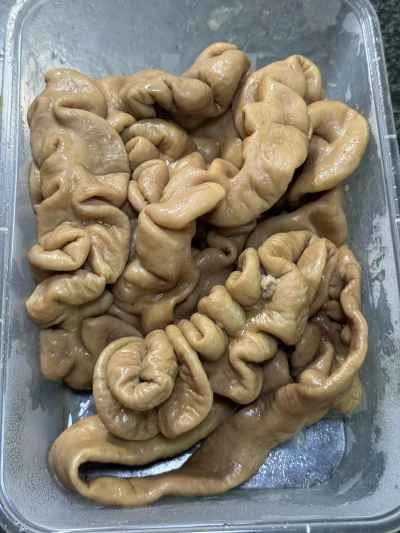 牛豚腸鍋の作り方：5