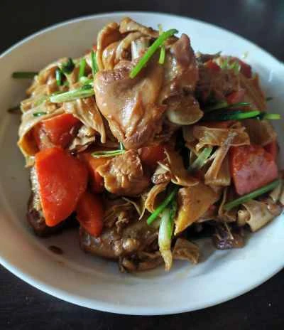 鶏肉とニンジン、豆腐皮の煮込みのレシピ