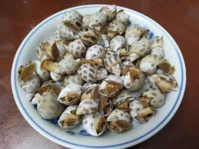 小さなカタツムリのレシピ