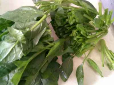 ほうれん草と白豆腐の発酵料理の作り方：5