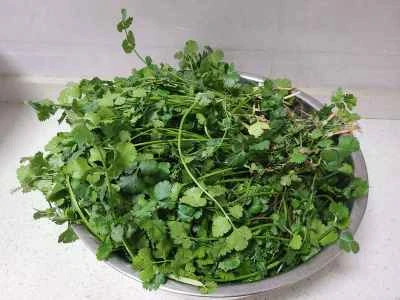 蒸しコリアンダーのレシピ手順：1