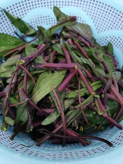 ニンニク入り赤カラシナ炒めの作り方：1