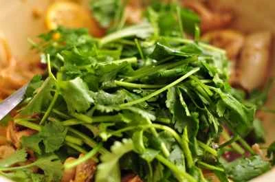 手で切ったレモンチキンの作り方：8