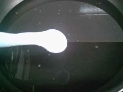 ゆで卵、ブロッコリー、豆腐の作り方：3