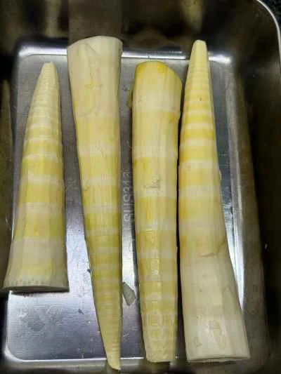 鴨肉とたけのこの煮込みの作り方：3