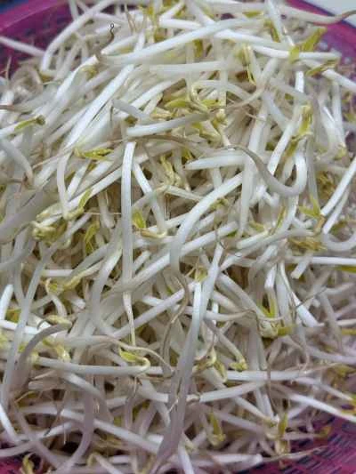 蒸し海鮮ライスヌードルの作り方：14