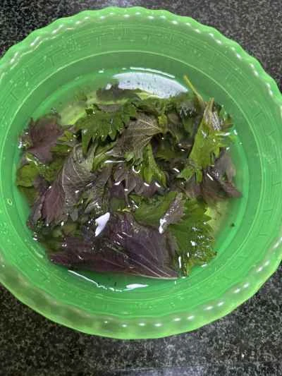 アサリとスズキの煮込みの作り方：3