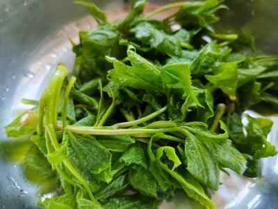 エゾウコギのオムレツの作り方：2