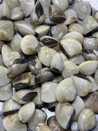 アサリと焼きエビの作り方：2