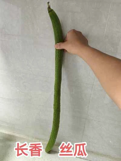 ニンニク煮込みの長い香りのヘチマを作る手順：1