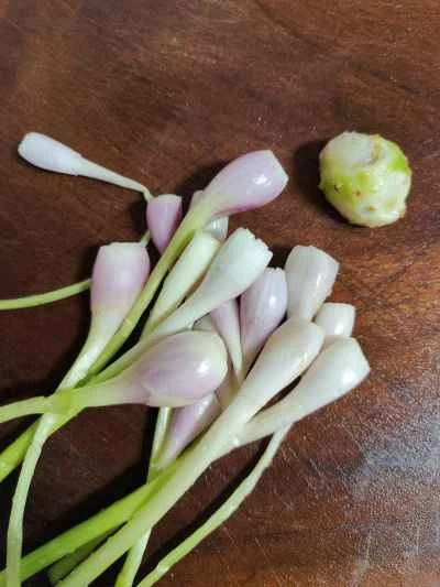 ネギ油チキンの作り方：4