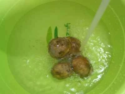 ラムテールたけのことじゃがいもの一晩煮込みの作り方：3