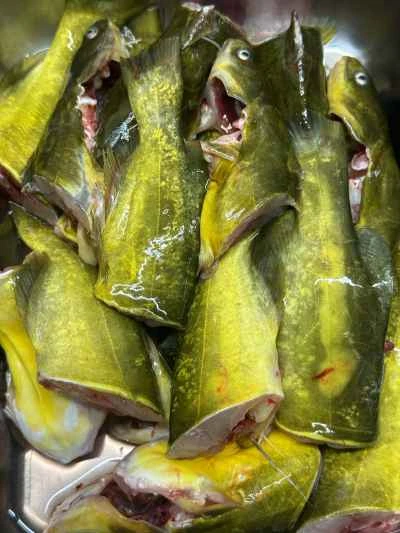 乾燥豆腐入り黄ナマズの煮込みの作り方：2