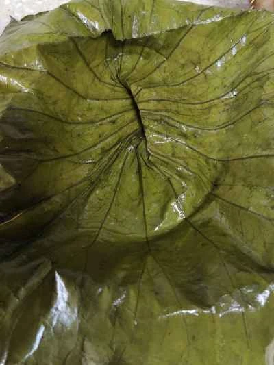 蓮の葉蒸しチキンのレシピ手順：8