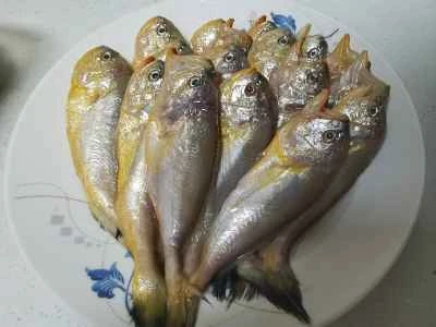 子イノシシの煮込みの作り方：1