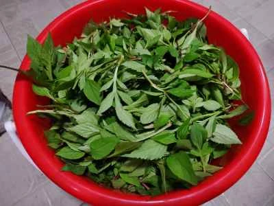 ニンニク風味の野菜を作る手順：1